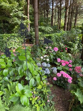 Le Jardin de Mireille en Touraine Angevine, Channay-sur-Lathan, France
