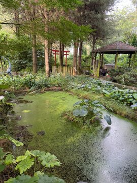 Le Jardin de Mireille en Touraine Angevine, Channay-sur-Lathan, France