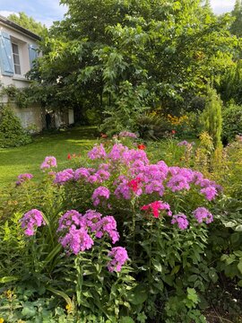 Le Jardin de Mireille en Touraine Angevine, Channay-sur-Lathan, France