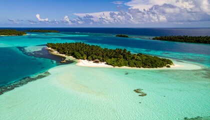 Majestic mountain range illuminated by golden sunlight, framed by a dense forest.