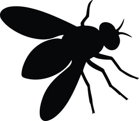 Silhouette insect fly detailed vector Illustrator