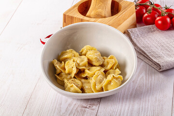 Tasty Russian dumplings with meat