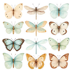 seamless pattern with butterflies,Watercolor Butterflies and Dragonfly Collection
