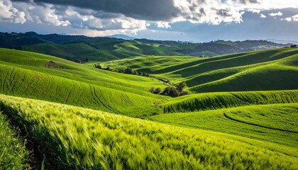 Fototapeta premium Rolling green hills and fields stretch into the distance under a partly cloudy sky, showcasing a vibrant landscape with sunlight.