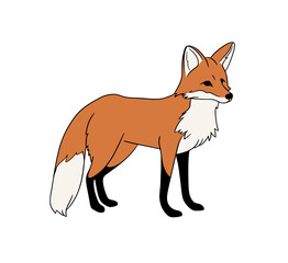 Cartoon fox with orange fur black legs and white tail standing alert with curious expression