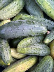 zucchini on the market