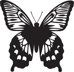 Elegant admiral butterfly silhouette for banner and advertisement design