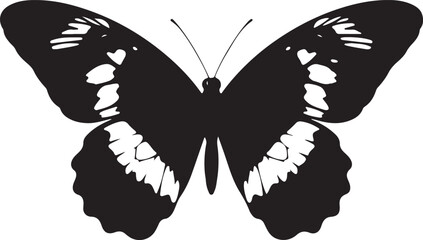 Elegant admiral butterfly silhouette for advertising and design