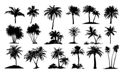 Vector palm tree silhouettes for tropical landscapes, jungle and beach designs, exotic flora, desert and rainforest elements. Ideal for island vacation, summer art, botanical illustrations