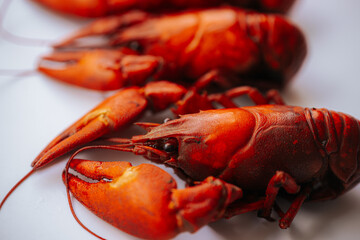 Multiple bright red boiled crawfish lined up diagonally on a white background, with copy space on...