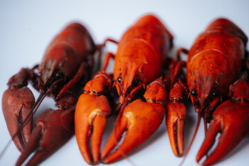Multiple bright red boiled crawfish lined up diagonally on a white background, with copy space on the left.
