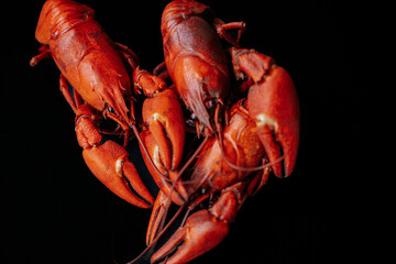 A vivid close-up of several cooked red lobsters arranged on a dark surface, highlighting their texture and color contrast. There is ample space for text.