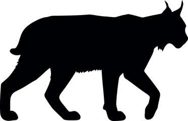 Lynx silhouette wild cat profile