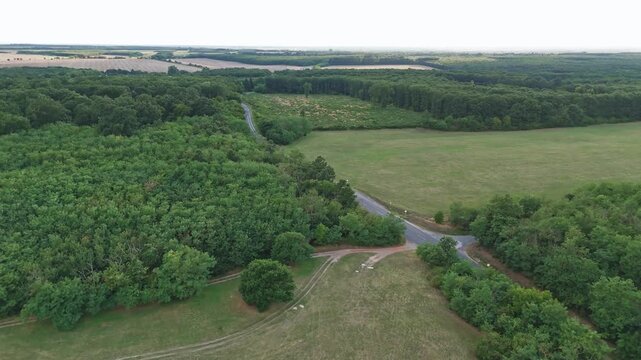 Aerial video of a small forest in Hungary near Sarvar city. Trees and green scenery can be seen from above