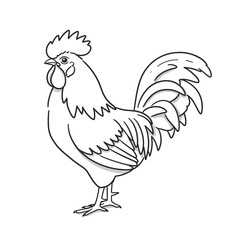 Fototapeta premium Rooster standing with detailed feathers in black line art style 