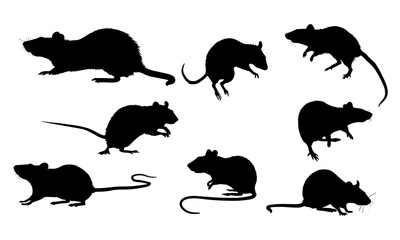 Silhouettes of rats in diverse poses on white background, ideal for Halloween graphics, pest control vectors, and animal illustration. Features standing, running, sitting rats and footprints