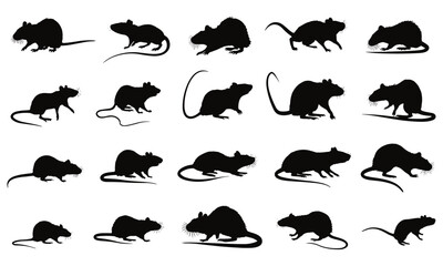Silhouettes of rats in diverse poses on white background, ideal for Halloween graphics, pest control vectors, and animal illustration. Features standing, running, sitting rats and footprints