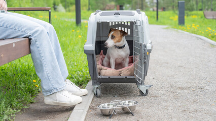 Caucasian woman traveling with dog. Owner sits on bench with Jack Russell Terrier in cage for safe...