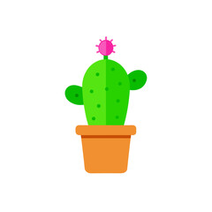 Cute green cactus with pink flower in pot isolated on transparent background