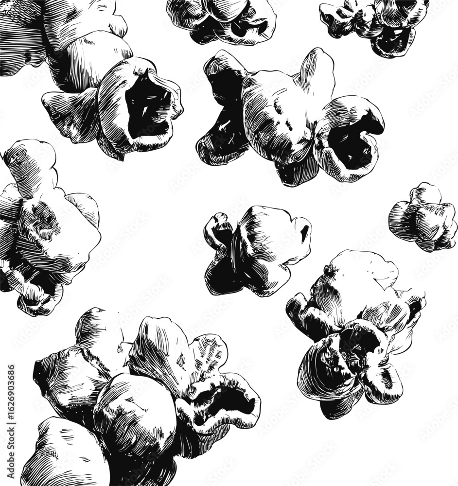 Poster black and white sketch of popcorn kernels floating in white space. vector illustration