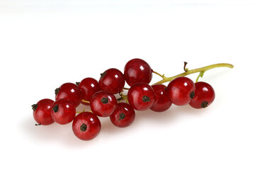 A cluster of fresh red currants on a white background. Isolated on a white background.