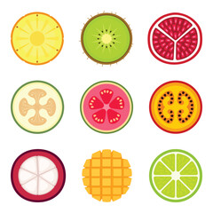Set of colorful round slices of different fruits 