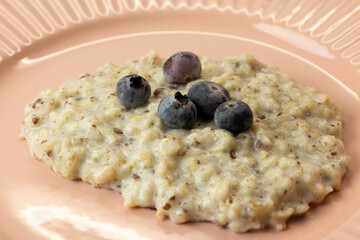 A bowl of oatmeal topped with fresh blueberries on a pink plate. 