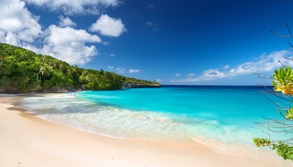 Fototapeta premium barbados beach bottom bay caribbean paradise on tropical island with turquoise sea