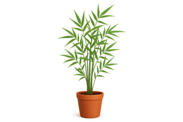 Potted chamaedorea elegans, commonly known as parlor palm, is thriving on a transparent background, ideal for easy integration into various design projects