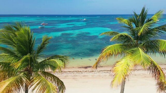 Beachfront Paradise with turquoise water and Palms in Punta Cana - Aerial View