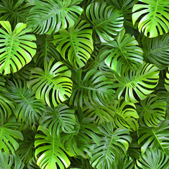 Lush tropical monstera leaves background; vibrant green foliage texture for design