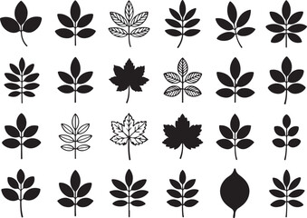 Collection of Assorted Botanical Leaf Silhouettes