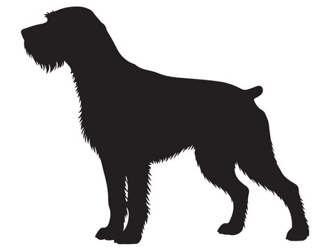 GERMAN WIREHAIRED POINTER DOG SILHOUETTE