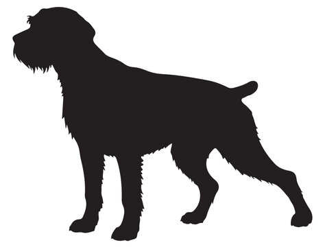 GERMAN WIREHAIRED POINTER DOG SILHOUETTE