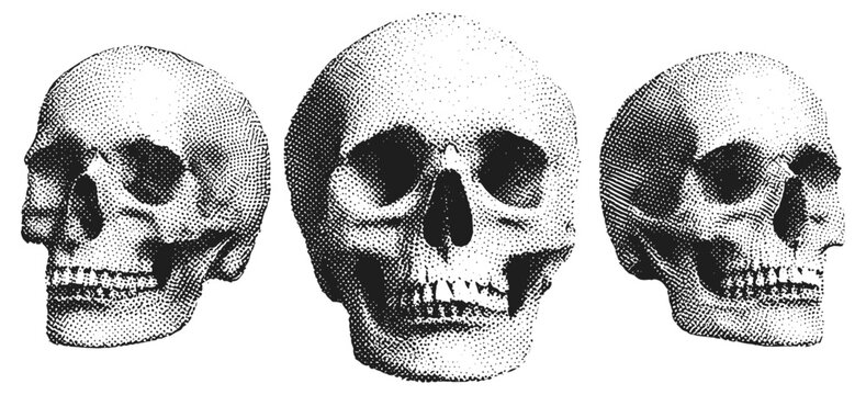 Halftone stipple skull design with grunge punk vibe, pop art dotted skeleton head. Vector illustration for vintage emo gothic art, rock music album cover, collage banners, dark horror style