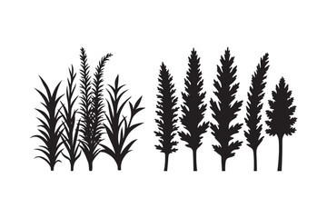 Naklejka premium Silhouette of various tall grasses and evergreen trees on a white background