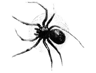 Psychedelic retro vector illustration of spider collage with vintage photocopy stippling effect. Surreal Halloween horror poster design with grunge dotted texture, creepy, spooky, haunted, night