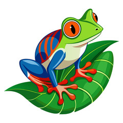 red eyed tree frog