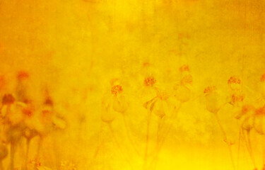 Textured floral background adorned with vibrant wildflowers for graphic resources