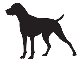 HUNGARIAN VIZSLA DOG SILHOUETTE
