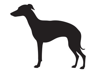 GREYHOUND DOG SILHOUETTE