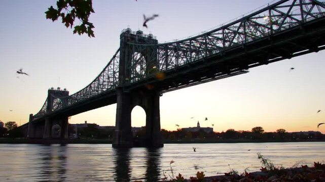 View of jacques cartier bridge over water during sunset with birds flying around it