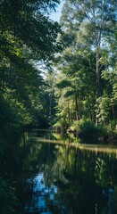 Obraz premium Serene river flowing through a lush forest.