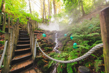 A quaint wooden stairway ascends through a lush forest, where a delicate waterfall cascades. Soft...