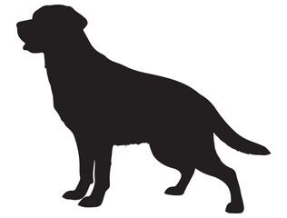 LABRADOR RETRIEVER DOG SILHOUETTE