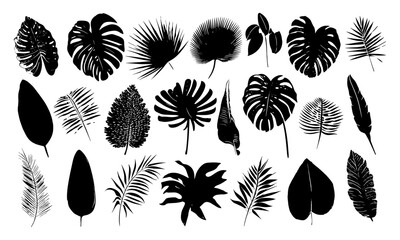 black palm leaf silhouettes, tropical foliage vectors, diverse natural leaf shapes, design elements, botanical patterns, organic textures, wild flora, tropical garden decoration