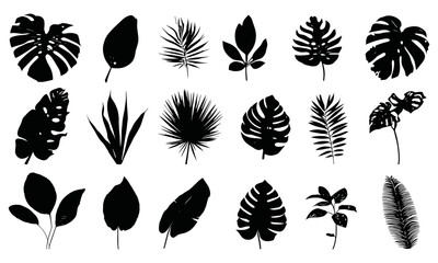 Monochrome tropical leaf silhouettes collection for graphic design and summer nature concepts. Vector illustration of exotic foliage, botanical plants, palm, fern, vintage elements, clip art