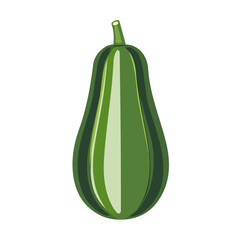 Simple Modern flat icon of a green squash in a minimalistic 2D style, clean and simple design, vector illustration on white background, EPS file. vectorized
