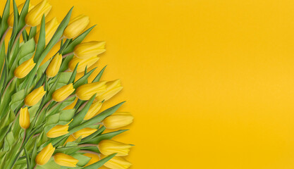 A bouquet of yellow tulips, located on the left edge. A rich yellow background