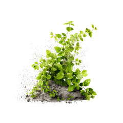 Obraz premium Vibrant green plant erupting from soil
